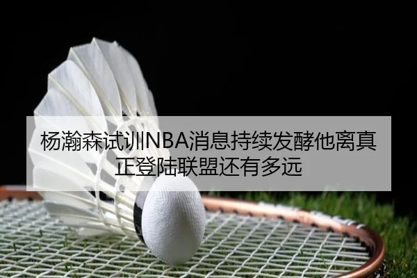 杨瀚森试训NBA消息持续发酵他离真正登陆联盟还有多远 - hth.com